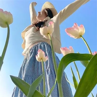 首位女律师传奇《虎啸之局》伊藤沙莉主演最新爆款：打破男权社会枷锁，昭和时代女法官之路
